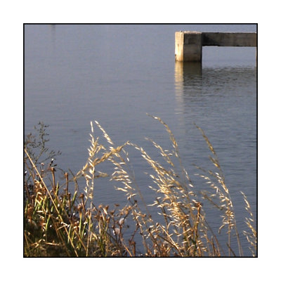 Venise - LVII