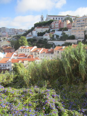 Walking down from Sao Jorge castle