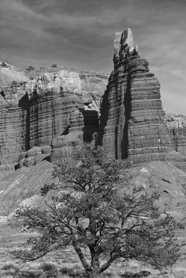 Chimney Rock, CRNP