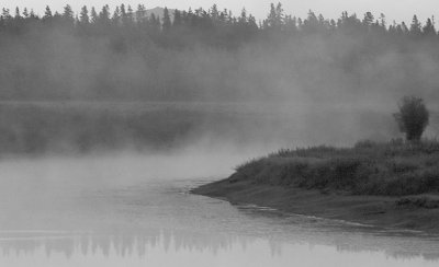 Mist on the Oxbow, GTNP