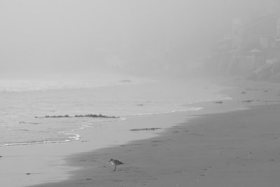Malibu Beach