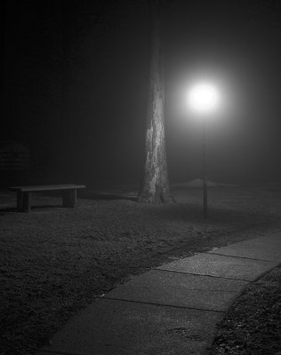 Misty Night Chapel Hill #2