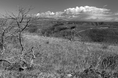 Far view MVNP