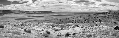Northern AZ pan