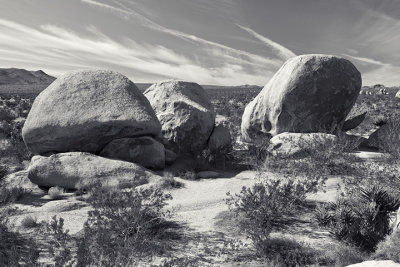 Rocks in JTNP