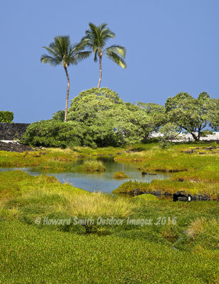  Waikoloa Beach Retaining Pond