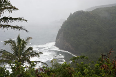  Pololu Valley Coast in Rain