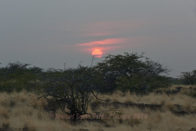  A Big Island Vog Sunset