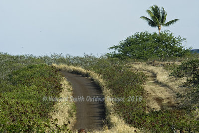 Island Road