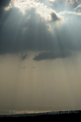 Sun Rays