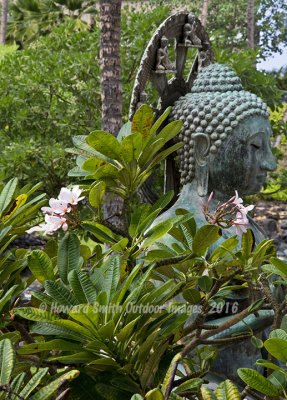 Buddha among flowers