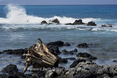 Surf and stump