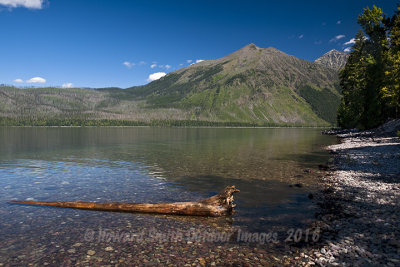 Montana