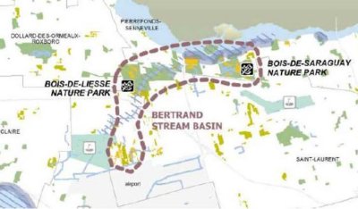 Bertrand stream basin 2.jpg