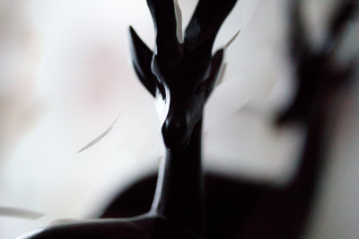 Image 3.jpg