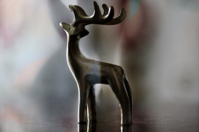 Image 7.jpg