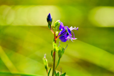 Image 17.jpg