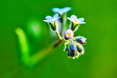 Image 23.jpg