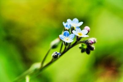 Image 34.jpg