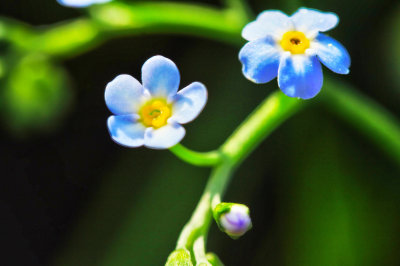 Image 44.jpg