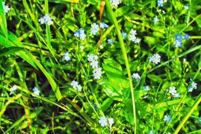 Image 45.jpg