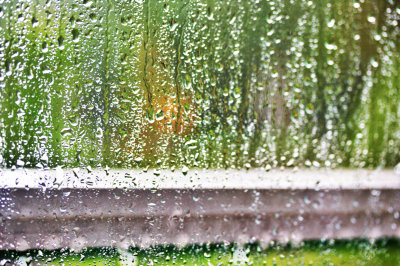 Rain on the Window