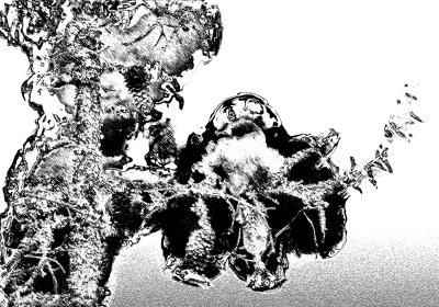 Image 15.jpg