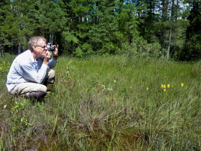  Tom Nelson photographing Platanthera integra (Yellow Fringeless Orchid) NJ Aug 14, 2013 (Image by Dave Taft) 