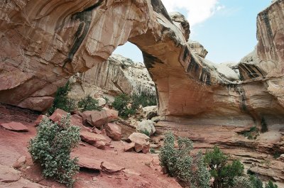 The magnificent Hickman Bridge, Capitol Reef Nat'l Park, Utah.