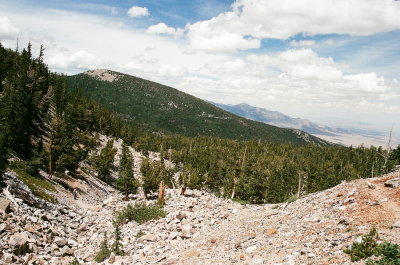 The trail to the Bristlecone Pine forest (altitude 11,500 ft) Great Basin Nat'l Park, Nevada 7/11/2015