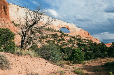 Wilsons Arch, south of Moab, Utah. 7/12/2015