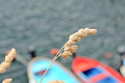 100723_121.jpg
