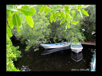 Boats in La Manzanilla Jal. Mexico.jpg