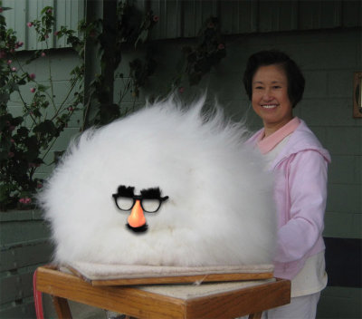 Groucho-Rabbit.jpg