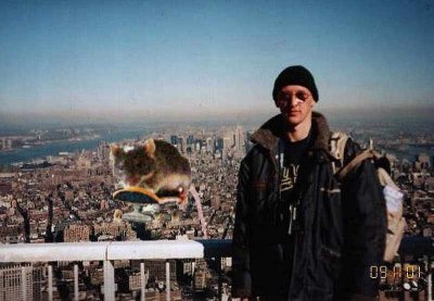 911-Rat.jpg