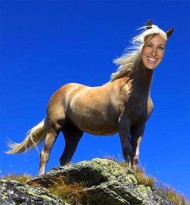 Sarah-Horse.jpg