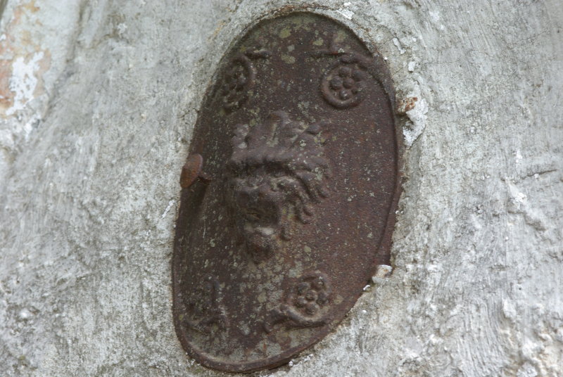 IMGP6378.JPG