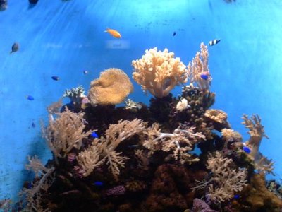 g9/09/1188409/3/161296499.iDmAAC6a.jpg