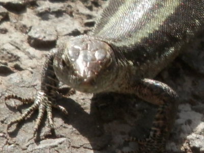 g9/09/1188409/3/162167961.EUosdi0p.jpg