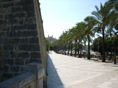 g9/09/1188409/3/162389869.eSwcFp1x.jpg