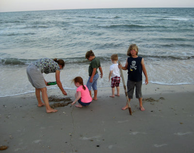 The cousins go sand crab hunting