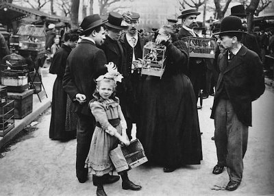 1900 - Bird market