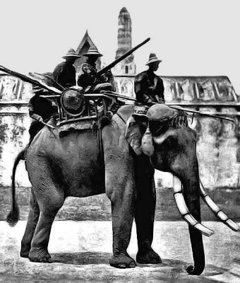 c. 1866 - War elephant