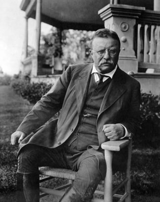 1917 - Former US President Teddy Roosevelt