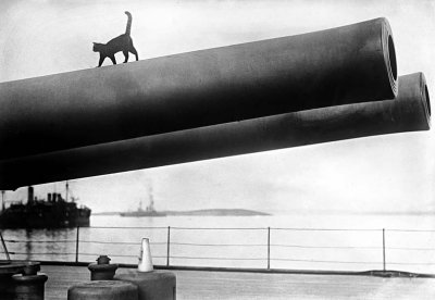 1915 - Mascot of the battleship HMS Queen Elizabeth