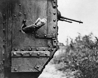 Carrier pigeon released from a tank