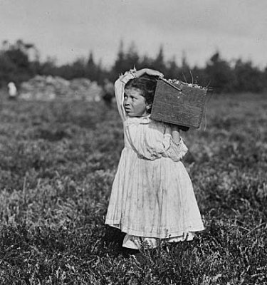 1910 - Cranberry picker, 8 years old