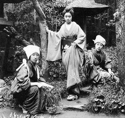1890's - Three young women