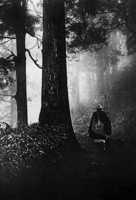 c. 1900 - On a forest path