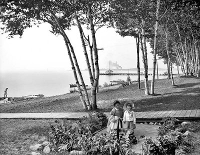 1906 - Birches by the bay